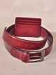 SET Burgundy Belt & Card Holder 